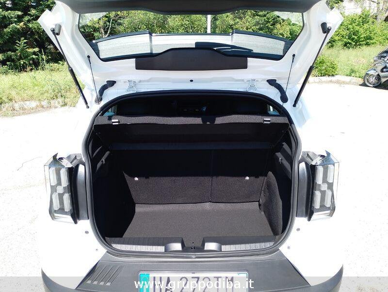 Fiat Grande panda Grande Panda 1.2 hybrid Icon edct- Gruppo Diba