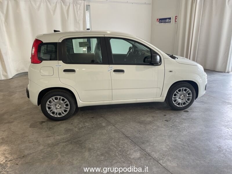 Fiat Panda Panda 1.0 70cv Hybrid Panda- Gruppo Diba