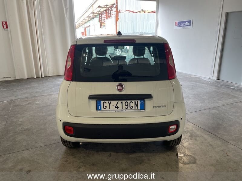 Fiat Panda Panda 1.0 70cv Hybrid Panda- Gruppo Diba