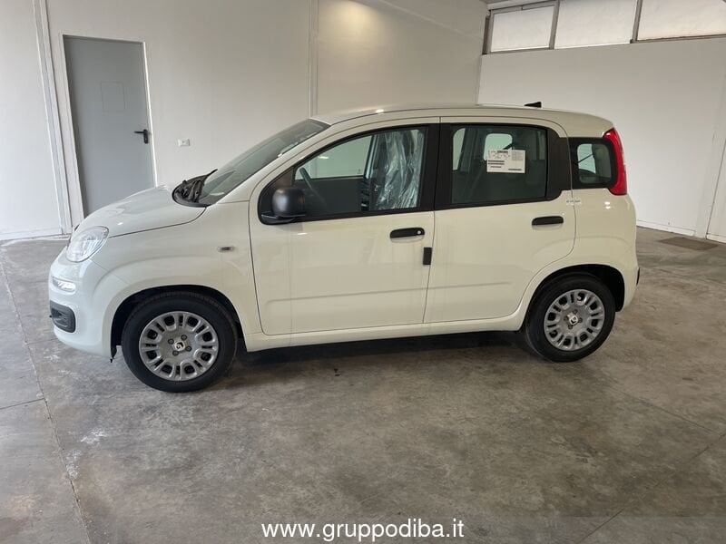 Fiat Panda Panda 1.0 70cv Hybrid Panda- Gruppo Diba