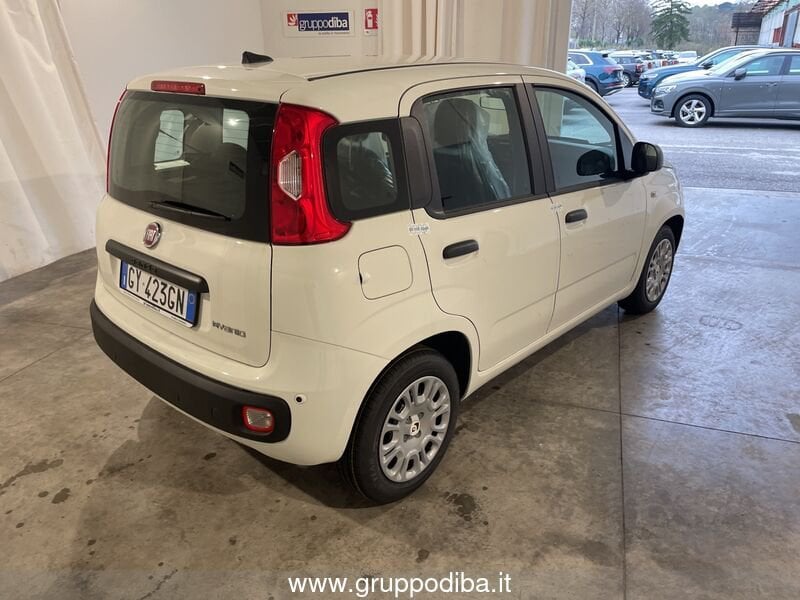 Fiat Panda Panda 1.0 70cv Hybrid Panda- Gruppo Diba