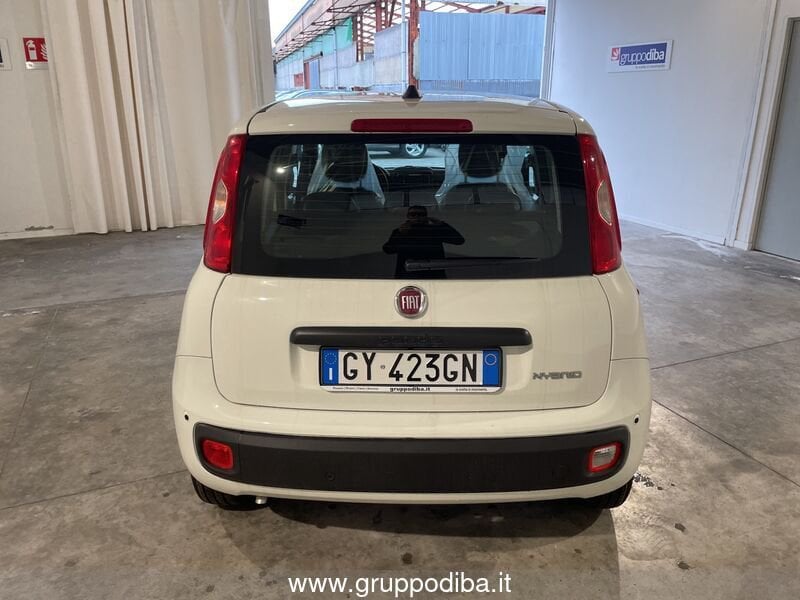 Fiat Panda Panda 1.0 70cv Hybrid Panda- Gruppo Diba