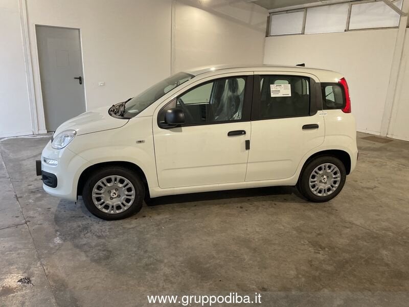 Fiat Panda Panda 1.0 70cv Hybrid Panda- Gruppo Diba