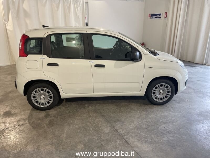 Fiat Panda Panda 1.0 70cv Hybrid Panda- Gruppo Diba