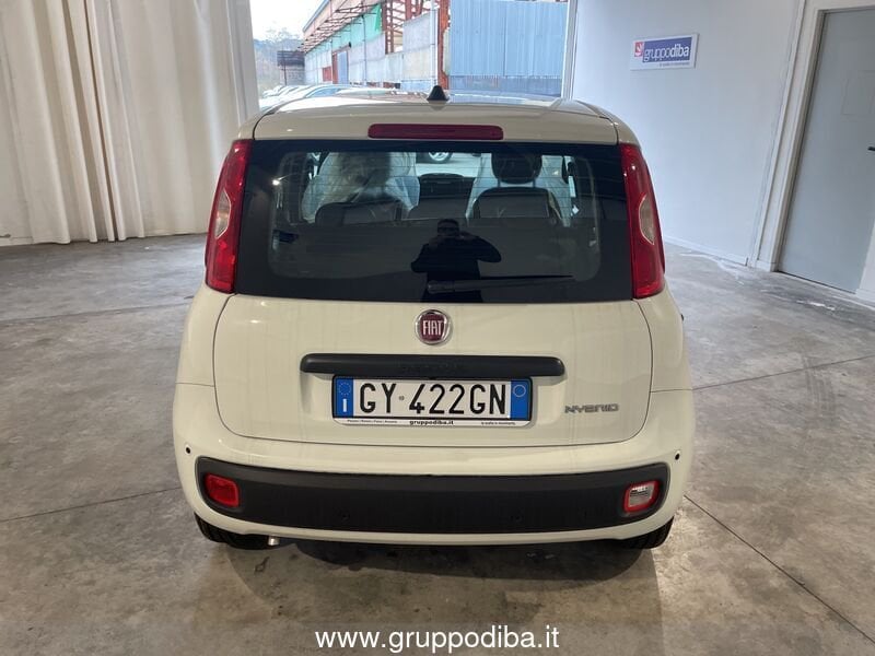 Fiat Panda Panda 1.0 70cv Hybrid Panda- Gruppo Diba