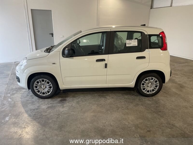 Fiat Panda Panda 1.0 70cv Hybrid Panda- Gruppo Diba