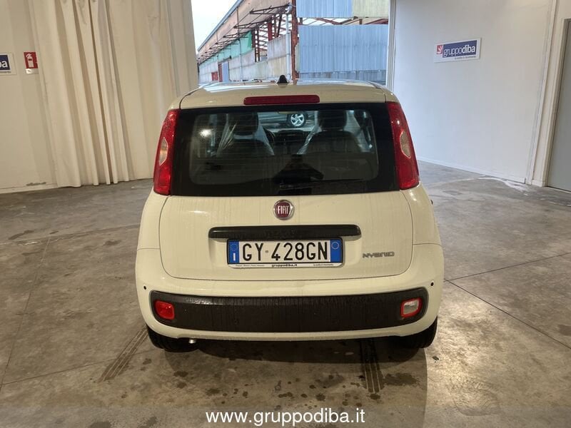 Fiat Panda Panda 1.0 70cv Hybrid Panda- Gruppo Diba