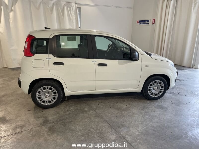Fiat Panda Panda 1.0 70cv Hybrid Panda- Gruppo Diba