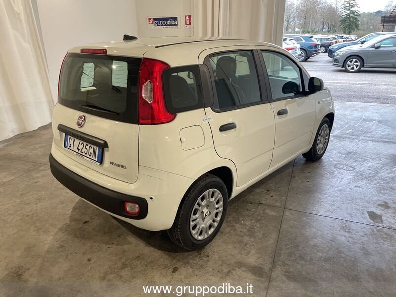Fiat Panda Panda 1.0 70cv Hybrid Panda- Gruppo Diba