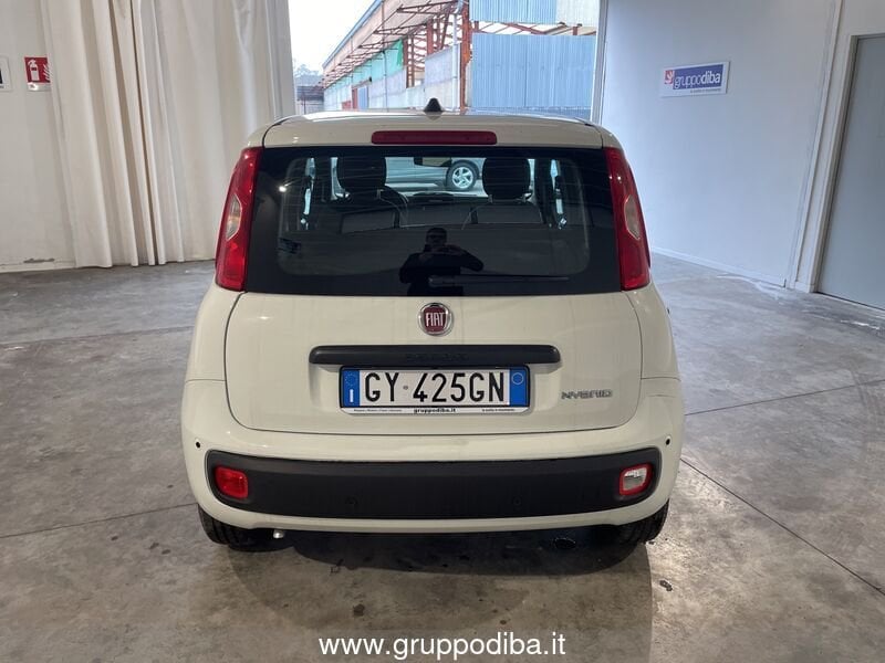 Fiat Panda Panda 1.0 70cv Hybrid Panda- Gruppo Diba