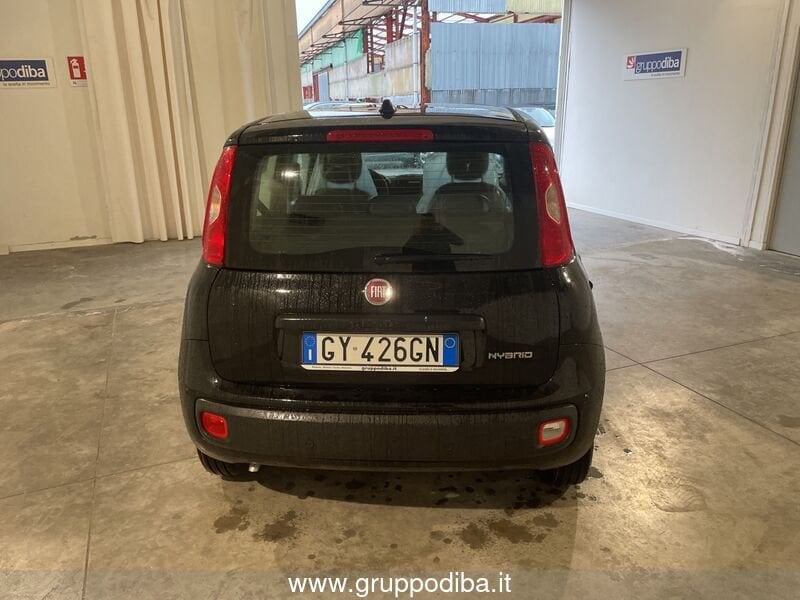 Fiat Panda Panda 1.0 70cv Hybrid Panda- Gruppo Diba