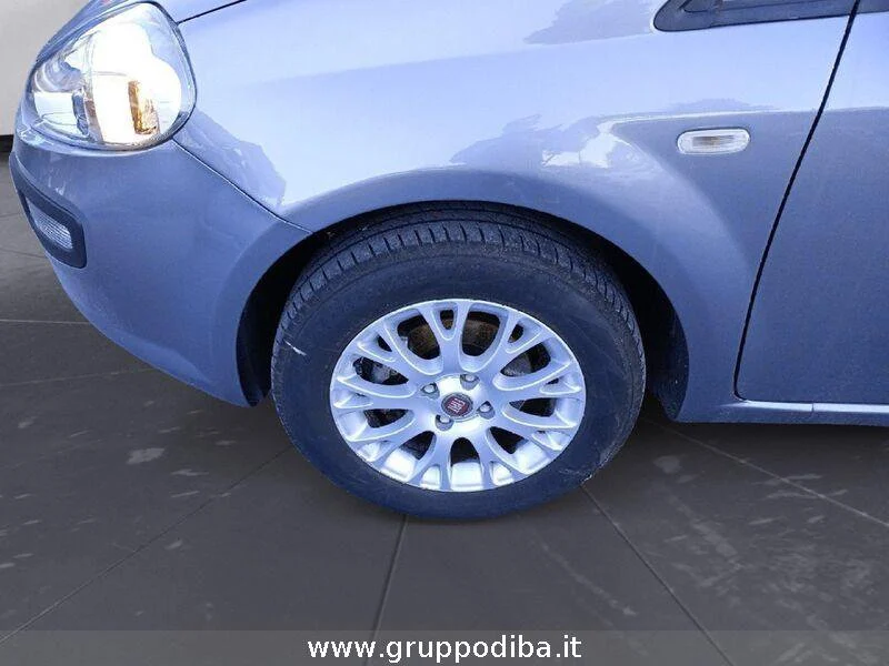 Fiat Punto Evo evo 5p 1.2 active s&s- Gruppo Diba