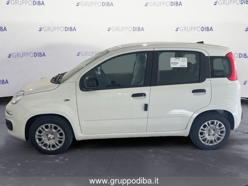 Fiat Panda Panda 1.0 70cv Hybrid Panda- Gruppo Diba