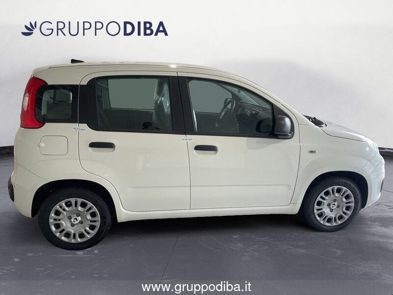 Fiat Panda Panda 1.0 70cv Hybrid Panda- Gruppo Diba