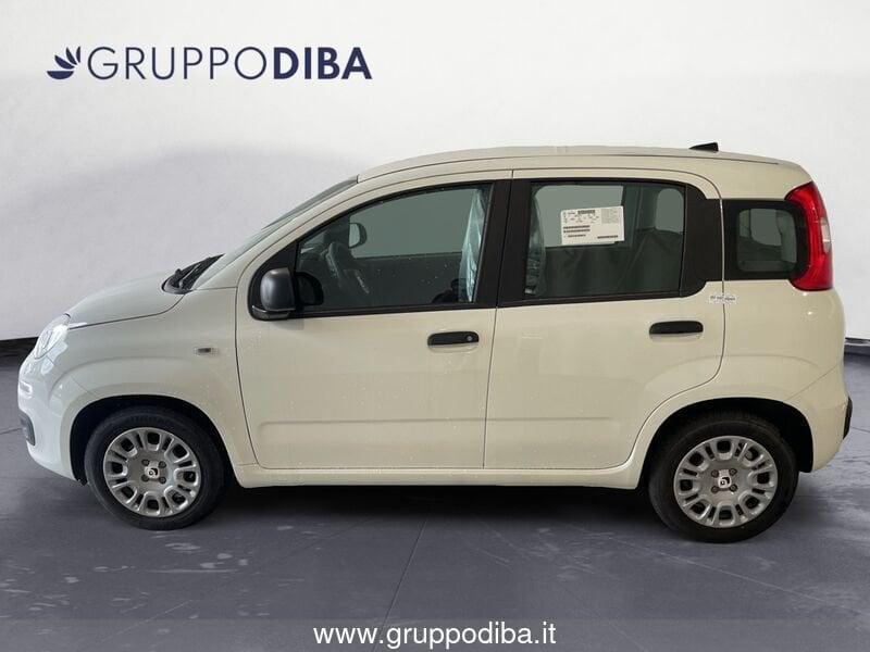 Fiat Panda Panda 1.0 70cv Hybrid Panda- Gruppo Diba