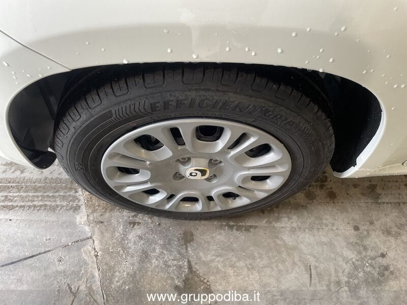 Fiat Panda Panda 1.0 70cv Hybrid Panda- Gruppo Diba