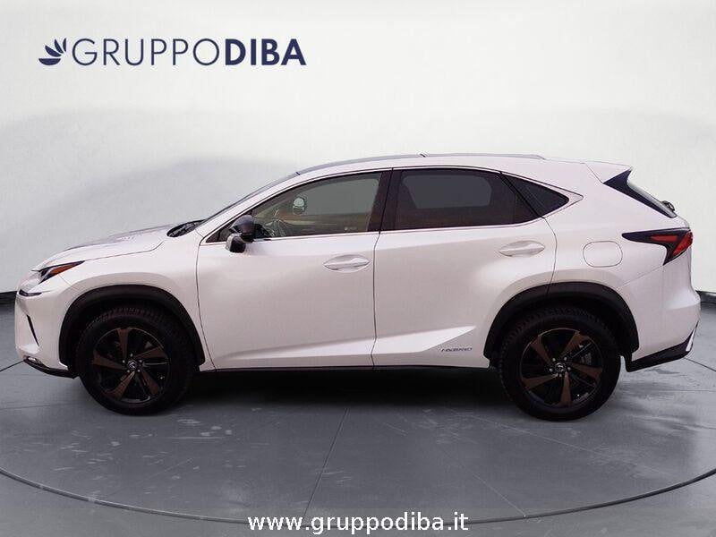 Lexus NX NX 300h 2.5 Luxury 4wd cvt- Gruppo Diba