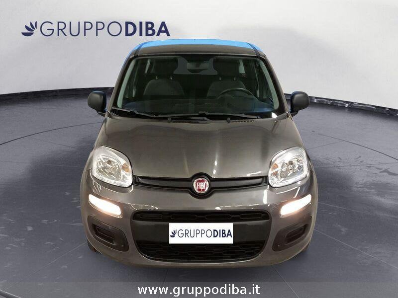 Fiat Panda Panda 1.0 firefly hybrid s&s 70cv 5p.ti- Gruppo Diba