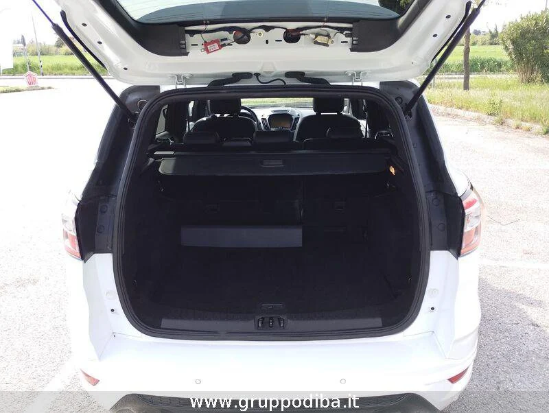 Ford Kuga Kuga 1.5 tdci ST-Line s&s 2wd 120cv- Gruppo Diba