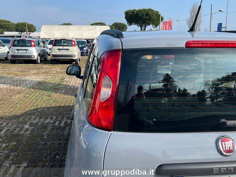 Fiat Panda Panda 1.2 Easy s&s 69cv my19- Gruppo Diba