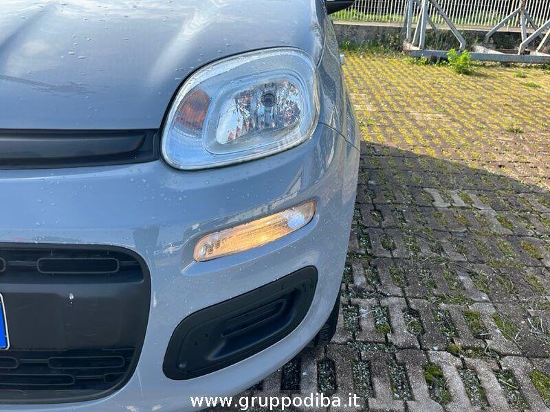 Fiat Panda Panda 1.2 Easy s&s 69cv my19- Gruppo Diba
