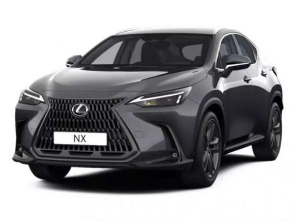 Lexus NX NX PLUG-IN 4WD F-SPORT MY25- Gruppo Diba