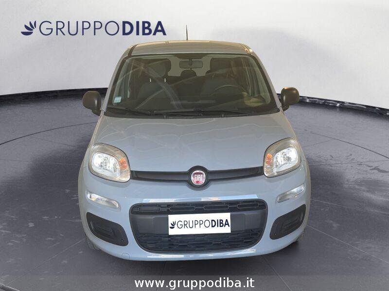 Fiat Panda Panda 1.0 firefly hybrid City Life s&s 70cv 5p.ti- Gruppo Diba