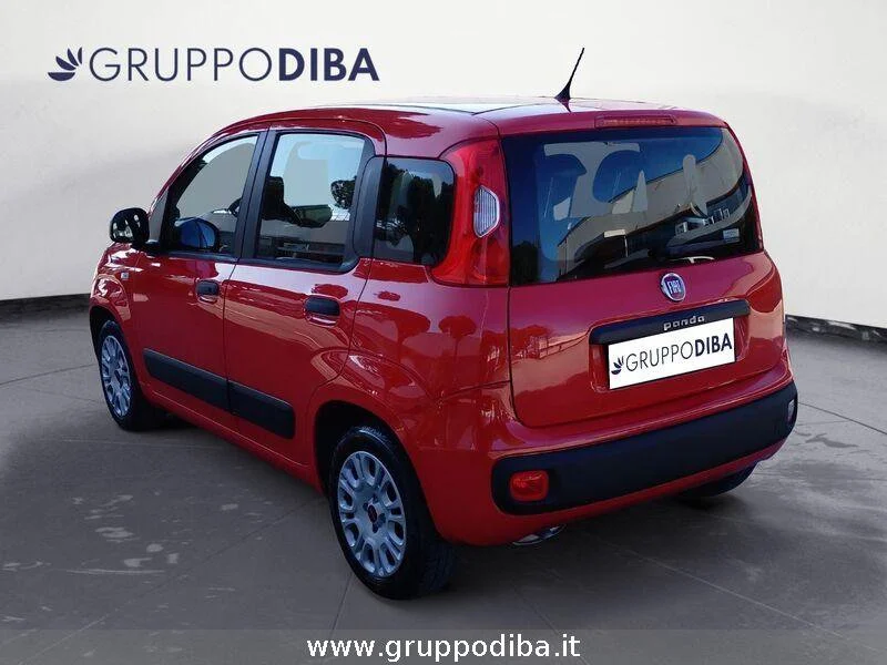 Fiat Panda Panda 1.2 Pop 69cv- Gruppo Diba