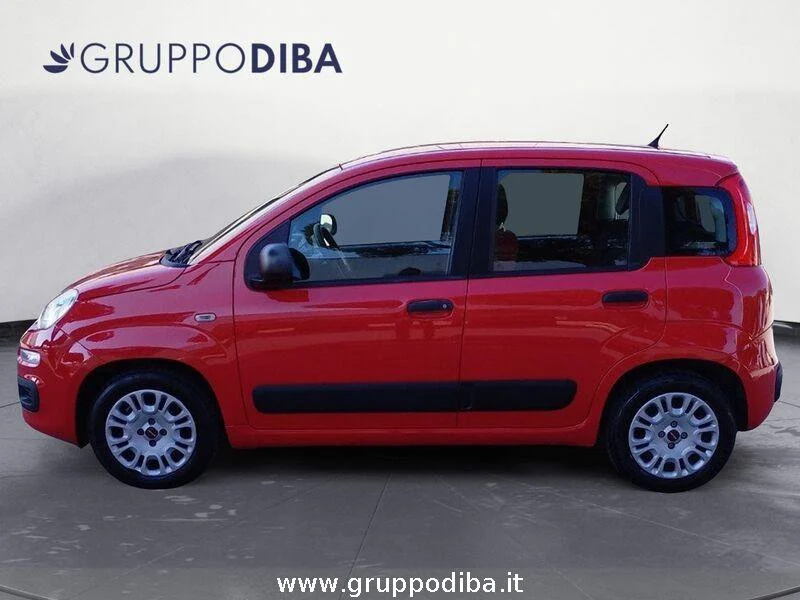 Fiat Panda Panda 1.2 Pop 69cv- Gruppo Diba