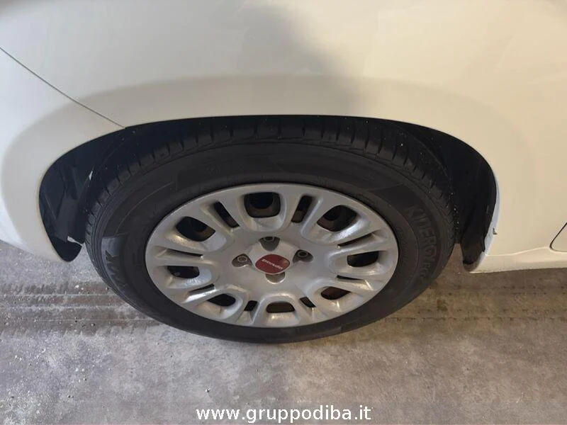 Fiat Panda Panda 1.0 hybrid Easy s&s 70cv- Gruppo Diba