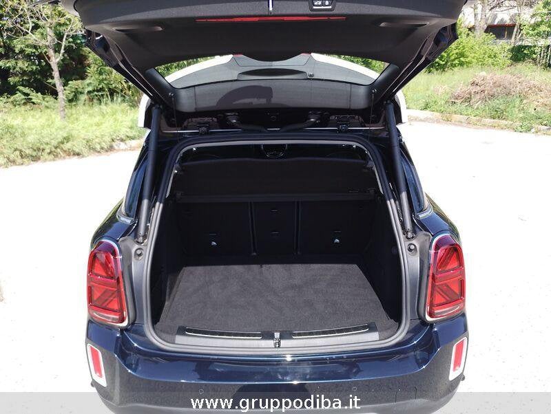 MINI Countryman Mini Countryman 1.5 Cooper Northwood Edition auto- Gruppo Diba