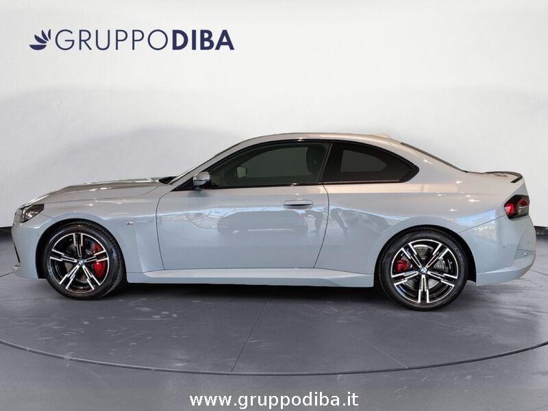 BMW Serie 2 Coupe 220D COUP&Eacute;- Gruppo Diba