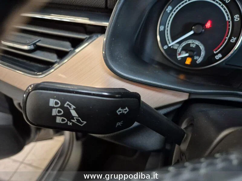 Skoda Kamiq Kamiq 1.0 g-tec Monte Carlo 90cv- Gruppo Diba