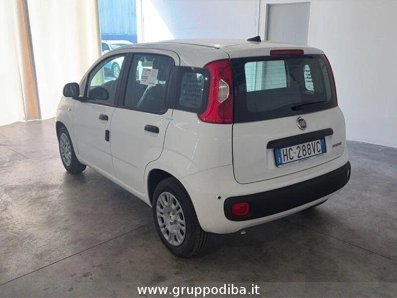 Fiat Pandina Pandina My26 1.0 65cv Hybrid Icon- Gruppo Diba