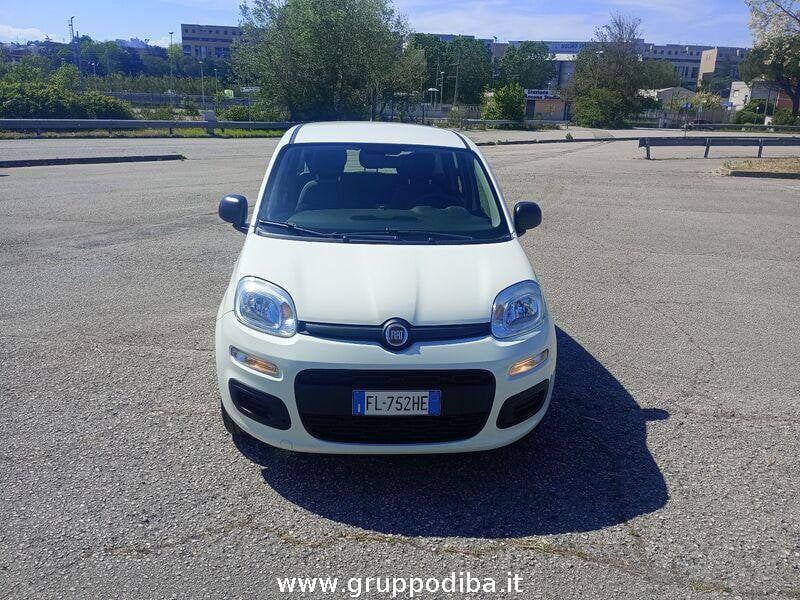Fiat Panda Panda 1.2 Pop 69cv- Gruppo Diba