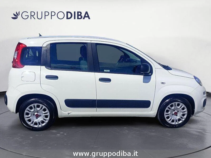 Fiat Panda Panda 1.2 Pop 69cv- Gruppo Diba