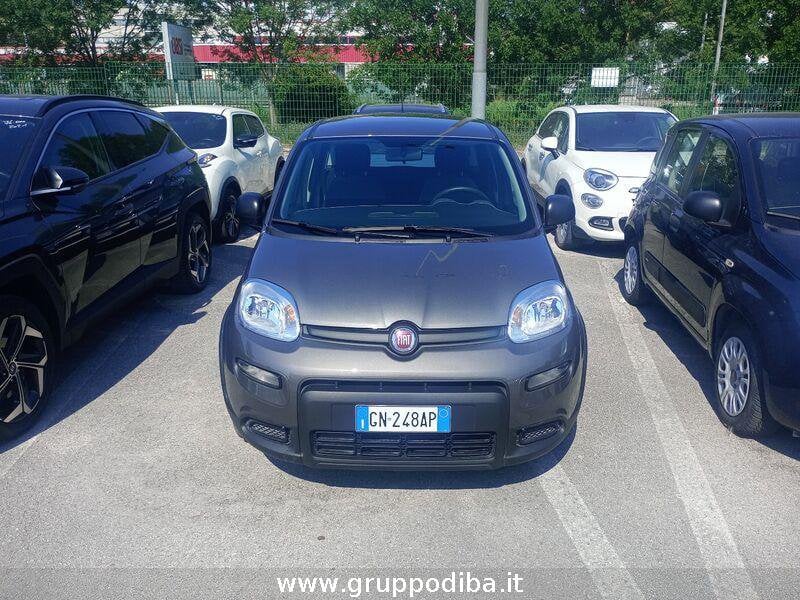 Fiat Panda Panda 1.0 firefly hybrid s&s 70cv- Gruppo Diba