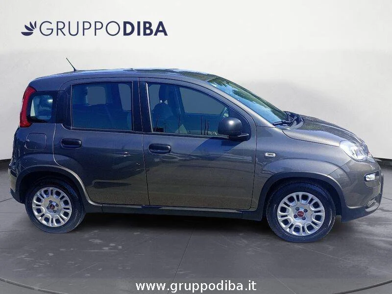 Fiat Panda Panda 1.0 firefly hybrid s&s 70cv- Gruppo Diba