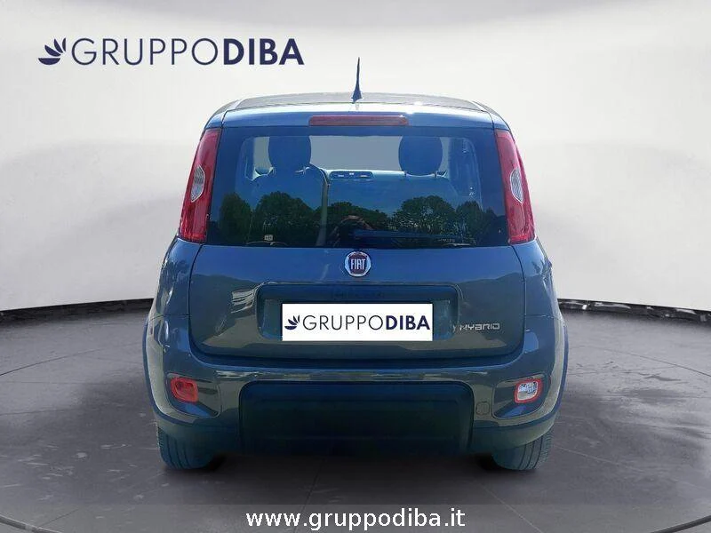 Fiat Panda Panda 1.0 firefly hybrid s&s 70cv- Gruppo Diba