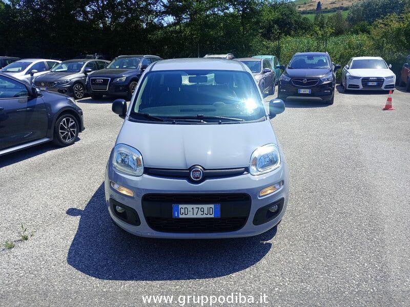 Fiat Panda Panda 1.2 Easy s&s 69cv my19- Gruppo Diba