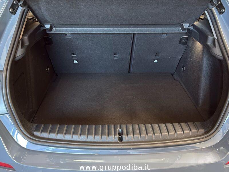 BMW Serie 1 116d Business Advantage- Gruppo Diba