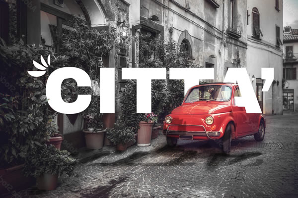 Auto per la città